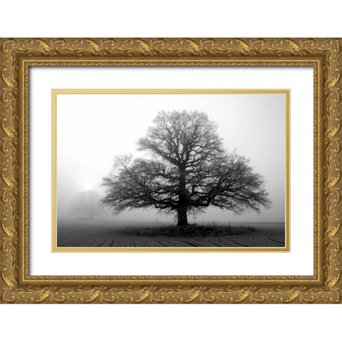 Tree in Mist 2 Gold Ornate Wood Framed Art Print with Double Matting by PhotoINC Studio