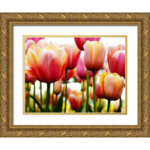 Tulip Gold Ornate Wood Framed Art Print with Double Matting by PhotoINC Studio