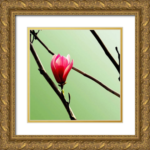 Tulip Tree 3 Gold Ornate Wood Framed Art Print with Double Matting by PhotoINC Studio