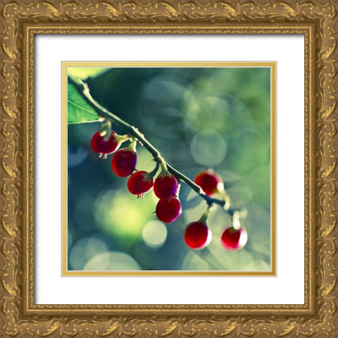 Luscious Gold Ornate Wood Framed Art Print with Double Matting by Price, Melanie Alexandra