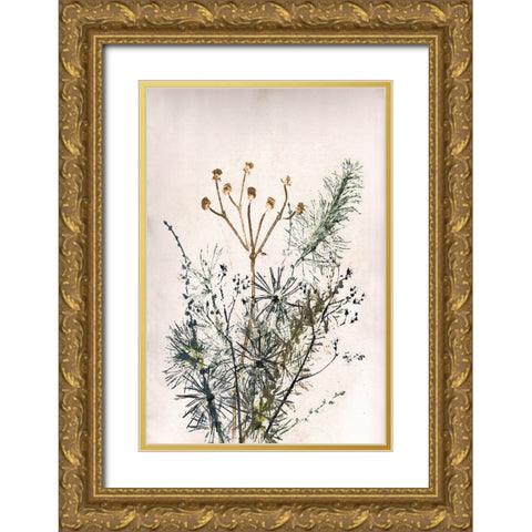 Bouquet 5 Gold Ornate Wood Framed Art Print with Double Matting by Folcarelli, Pernille