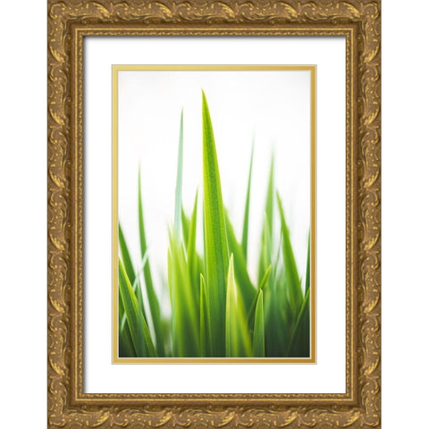 Blades of Green No. 1 Gold Ornate Wood Framed Art Print with Double Matting by Quintero, Sonja