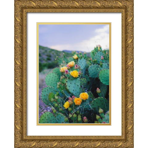 Spring Cacti No. 2 Gold Ornate Wood Framed Art Print with Double Matting by Quintero, Sonja