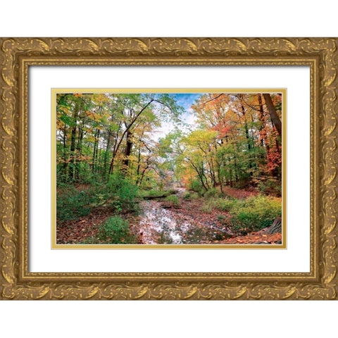 Autumn at Hopkins Pond Gold Ornate Wood Framed Art Print with Double Matting by Rivera, John