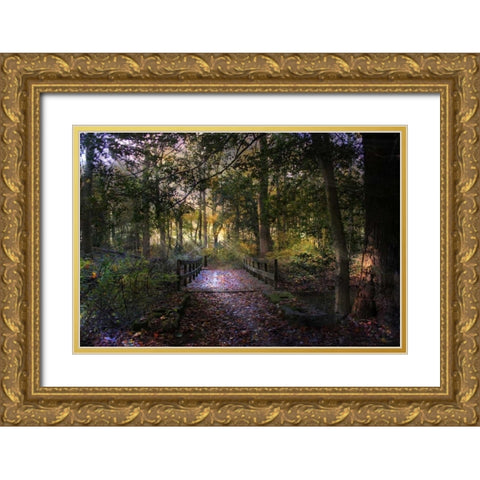 Beyond The Wooden Bridge Gold Ornate Wood Framed Art Print with Double Matting by Rivera, John