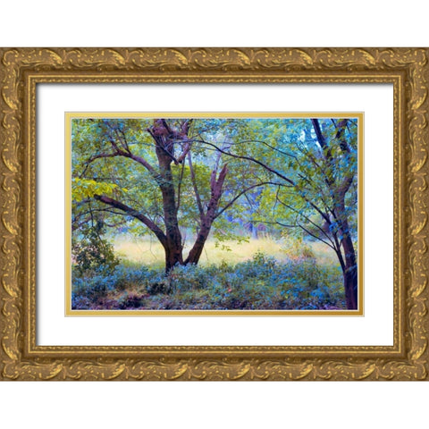 Forgotten Day Dreams Gold Ornate Wood Framed Art Print with Double Matting by Rivera, John