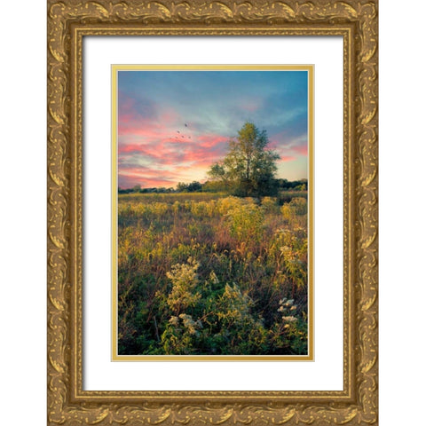 Grateful for The Day Gold Ornate Wood Framed Art Print with Double Matting by Rivera, John