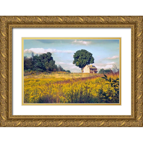 House on a Hill Gold Ornate Wood Framed Art Print with Double Matting by Rivera, John