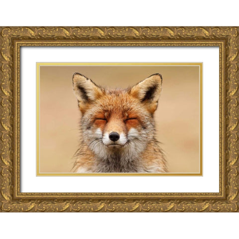 Zen Fox Red Portrait Gold Ornate Wood Framed Art Print with Double Matting by Raimond, Roeselien