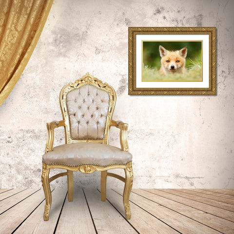 Bad Fur Day Gold Ornate Wood Framed Art Print with Double Matting by Raimond, Roeselien