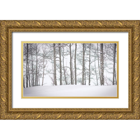 Behind Cloister Doors Gold Ornate Wood Framed Art Print with Double Matting by Rogers, Eunika