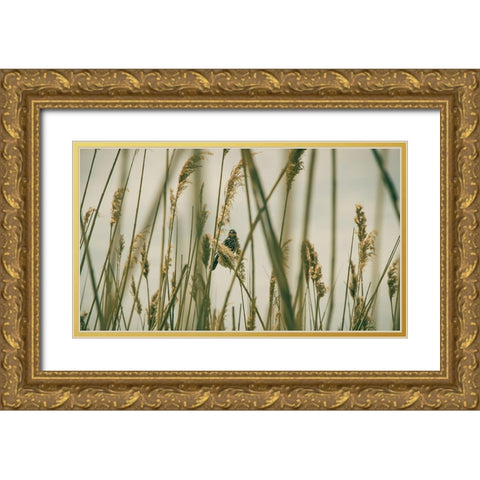 Even The Skies Have Limits Gold Ornate Wood Framed Art Print with Double Matting by Rogers, Eunika