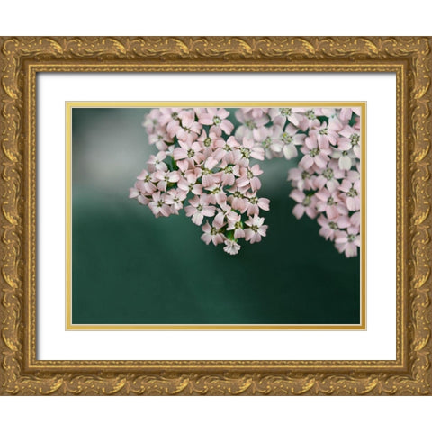 Blush Pink Flowers Gold Ornate Wood Framed Art Print with Double Matting by Ryan, Brooke T.