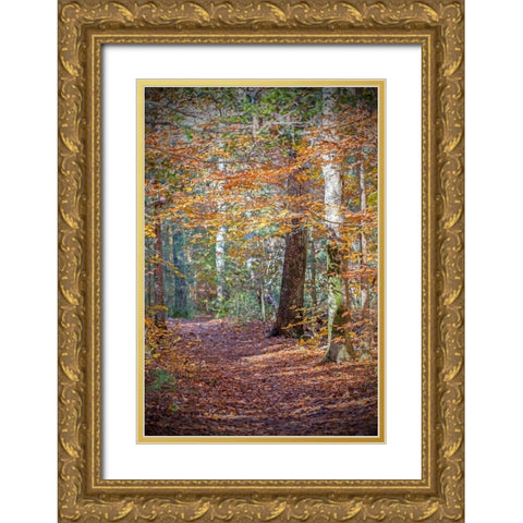 Rust Fall Forest Gold Ornate Wood Framed Art Print with Double Matting by Ryan, Brooke T.