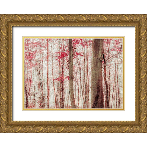 Pink And Brown Fantasy Forest Gold Ornate Wood Framed Art Print with Double Matting by Ryan, Brooke T.