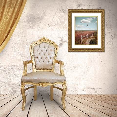 Gull over Coastal Trail Gold Ornate Wood Framed Art Print with Double Matting by Ryan, Brooke T.