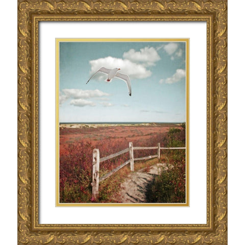 Gull over Coastal Trail Gold Ornate Wood Framed Art Print with Double Matting by Ryan, Brooke T.