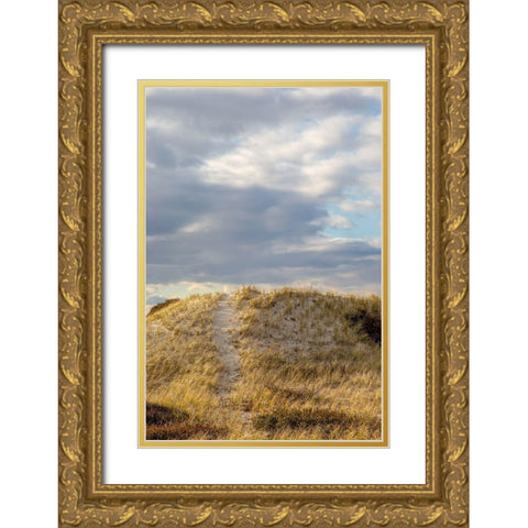 Dunes Trail Gold Ornate Wood Framed Art Print with Double Matting by Ryan, Brooke T.