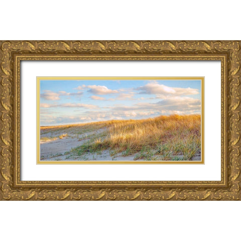 Grassy Dunes Panorama Gold Ornate Wood Framed Art Print with Double Matting by Ryan, Brooke T.
