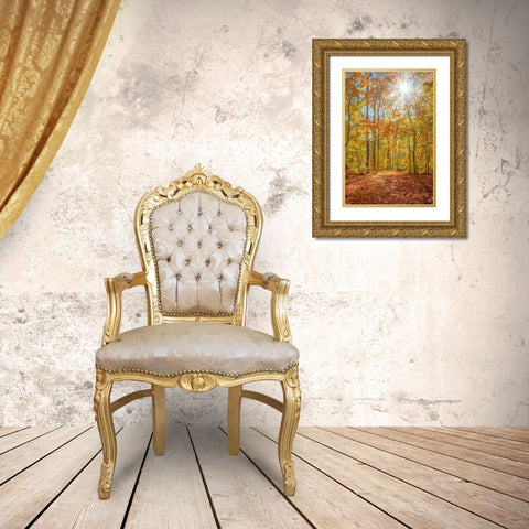 Autumn Forest Gold Ornate Wood Framed Art Print with Double Matting by Ryan, Brooke T.