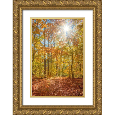 Autumn Forest Gold Ornate Wood Framed Art Print with Double Matting by Ryan, Brooke T.