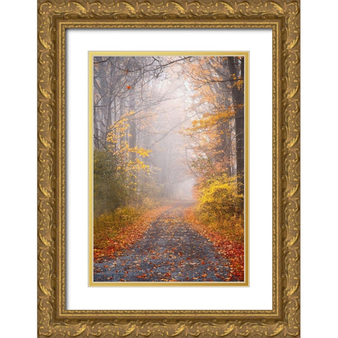 Road and Autumn Mist Gold Ornate Wood Framed Art Print with Double Matting by Ryan, Brooke T.