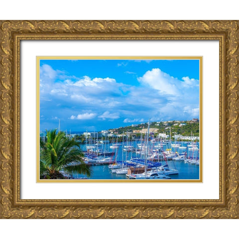 Oyster Pond Bay, St. Maarten Gold Ornate Wood Framed Art Print with Double Matting by Reed, Jack