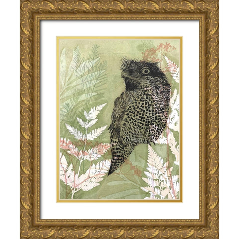 Tawny Frog Mouth Gold Ornate Wood Framed Art Print with Double Matting by Rice, Trudy