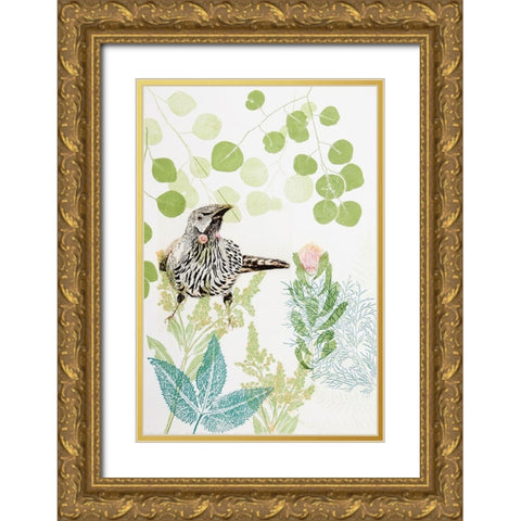 Wattlebird and Pincushion Protea Gold Ornate Wood Framed Art Print with Double Matting by Rice, Trudy