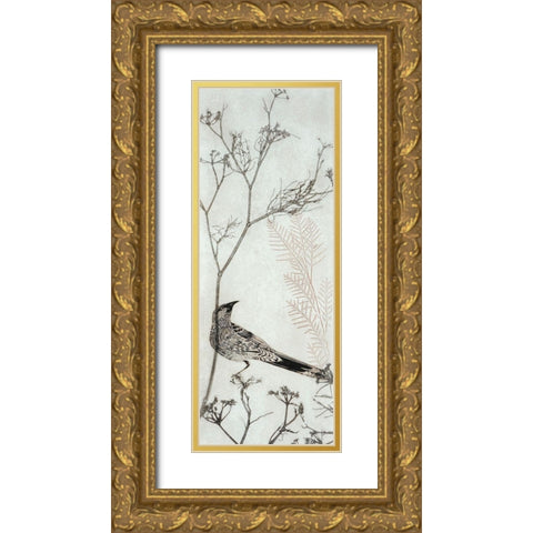 Wattlebird Resting on a Branch Gold Ornate Wood Framed Art Print with Double Matting by Rice, Trudy