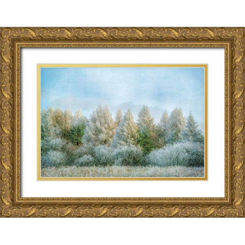 Winter Wonderland Gold Ornate Wood Framed Art Print with Double Matting by Ryan, Brooke T.