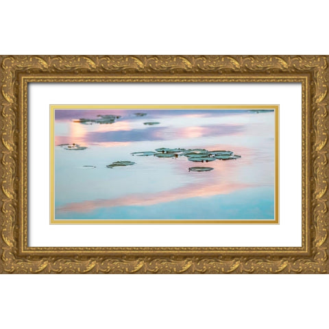 Cloud Reflections Gold Ornate Wood Framed Art Print with Double Matting by Ryan, Brooke T.