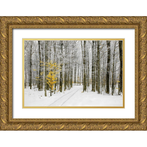 Mustard Tree Gold Ornate Wood Framed Art Print with Double Matting by Ryan, Brooke T.