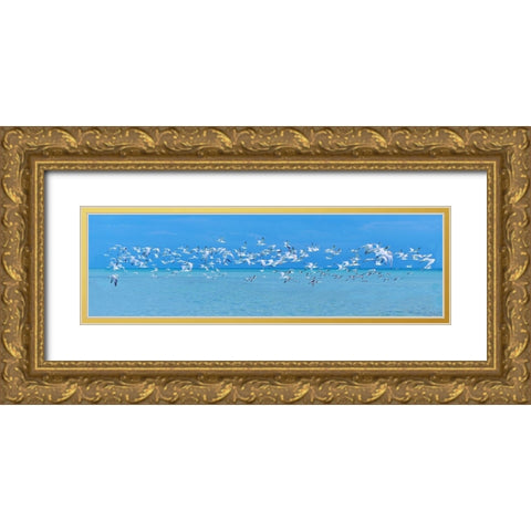 Sugarlife Seabirds Gold Ornate Wood Framed Art Print with Double Matting by Reed, Jack