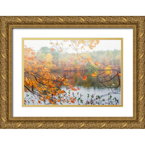 Autumn Pond Gold Ornate Wood Framed Art Print with Double Matting by Ryan, Brooke T.