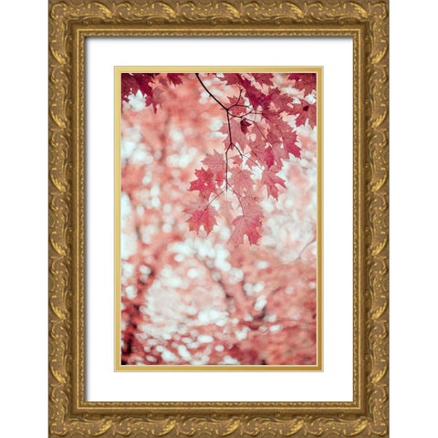 Pink and Coral Maple Leaves Gold Ornate Wood Framed Art Print with Double Matting by Ryan, Brooke T.