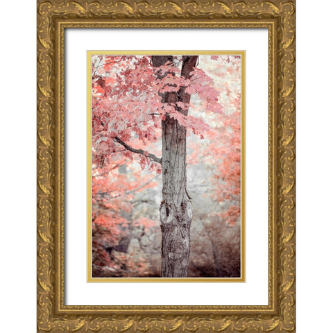 Pink and Coral Maple Tree Gold Ornate Wood Framed Art Print with Double Matting by Ryan, Brooke T.