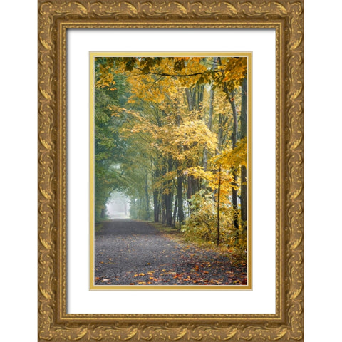 Tunnel Through Misty Forest Gold Ornate Wood Framed Art Print with Double Matting by Ryan, Brooke T.