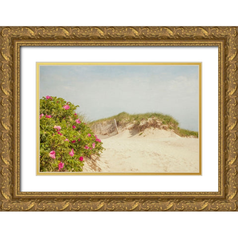 Rosa Rugosa Gold Ornate Wood Framed Art Print with Double Matting by Ryan, Brooke T.