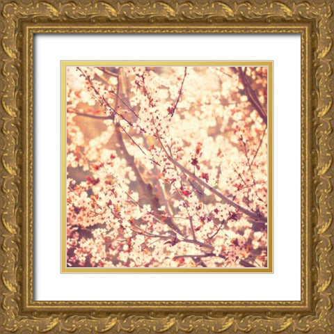 Oh To Be a Bumblebee No. 3 Gold Ornate Wood Framed Art Print with Double Matting by Soffia, Myan