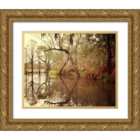 Deep South I Gold Ornate Wood Framed Art Print with Double Matting by Suchocki, Irene