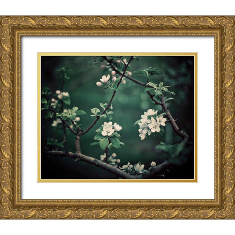 The Midnight Garden I Gold Ornate Wood Framed Art Print with Double Matting by Suchocki, Irene