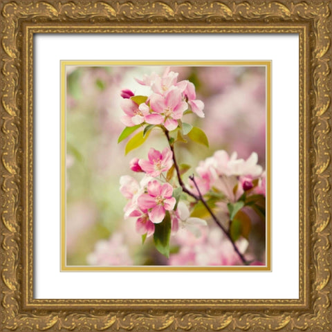 This Fleeting World Gold Ornate Wood Framed Art Print with Double Matting by Suchocki, Irene