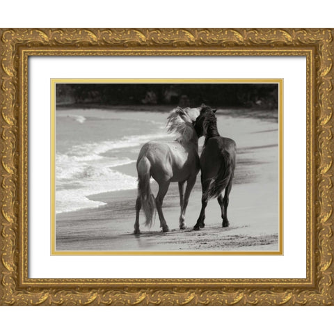 Young Mustangs on Beach Gold Ornate Wood Framed Art Print with Double Matting by Scott, Traer