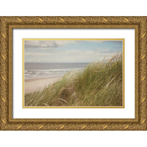 Beach Grass I Gold Ornate Wood Framed Art Print with Double Matting by Suchocki, Irene