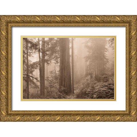 Enchanted Forest II Gold Ornate Wood Framed Art Print with Double Matting by Svibilsky, Igor