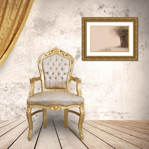 Gate to Infinity Gold Ornate Wood Framed Art Print with Double Matting by Svibilsky, Igor