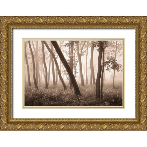 Reticent Woods Gold Ornate Wood Framed Art Print with Double Matting by Svibilsky, Igor