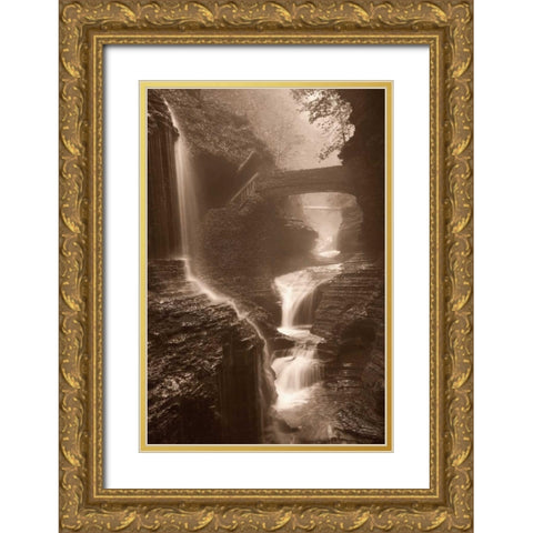 Waterfall on a Rainy Day Gold Ornate Wood Framed Art Print with Double Matting by Svibilsky, Igor