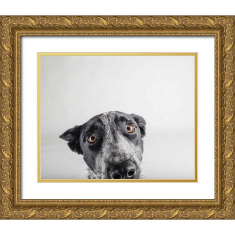 Blue Zuck Gold Ornate Wood Framed Art Print with Double Matting by Sabo, Susan